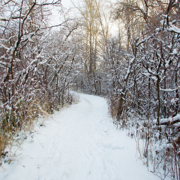 The Most Kid-Friendly Nature Trails in Metro Detroit (For Winter & Beyond)